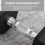 Haltere Hexagonal 12,5 kg em Ferro Fundido Pesos de Aço Revestidos a Borracha com Pega Texturizada para Musculação Preto