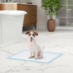 Resguardos de Treino Animais de Estimação 100 Unidades 45x60 cm Resguardos Absorventes para Cães com 6 Camadas Azul