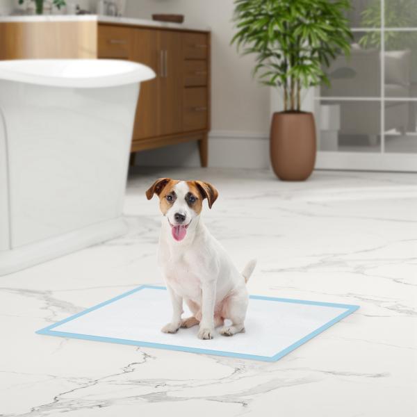 Resguardos de Treino Animais de Estimação 100 Unidades 45x60 cm Resguardos Absorventes para Cães com 6 Camadas Azul