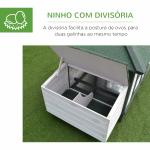 Galinheiro de Madeira de Pinho para 1 - 2 Galinhas com Caixa Ninho Bandeja e Espaço para Correr 196x76x97 cm Verde