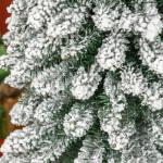 Árvore de Natal Artificial 210cm com Neve Ignífugo com 490 Ramos Verde