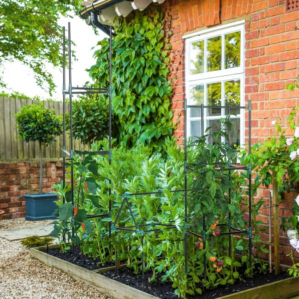 Conjunto de 3 Suportes para Plantas Trepadeiras Torre de Treliça para Plantas Frutas Verduras 38x38x182 cm Verde