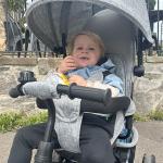 Triciclo para Bebés 2 em 1 de +12 Meses com Capota Dobrável Guiador Telescópico e Removível Bolsa e Porta - garrafas Cinza