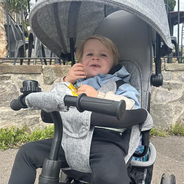 Triciclo para Bebés 2 em 1 de +12 Meses com Capota Dobrável Guiador Telescópico e Removível Bolsa e Porta - garrafas Cinza