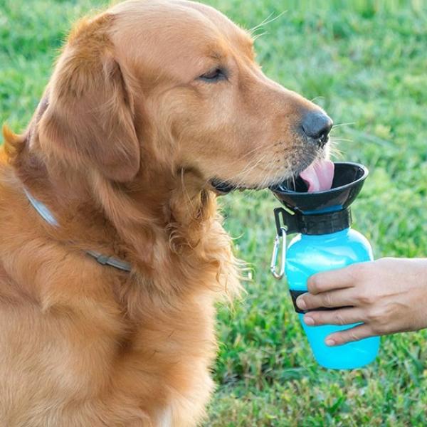 Garrafa Bebedouro de Água p/ Animais - INNOVAGOODS