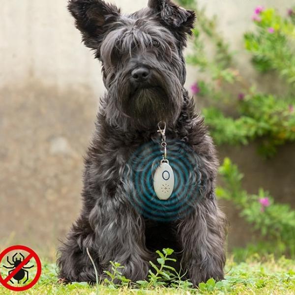 Dispositivo Anti - Parasita Ultrasons Recarregável PetRep p/ Animais - INNOVAGOODS