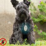 Dispositivo Anti - Parasita Ultrasons Recarregável PetRep p/ Animais - INNOVAGOODS