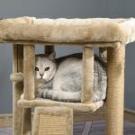 Árvore Arranhador para Gatos Pequenos Arranhador para Gatos com Poste de Juta Rampa Caverna e Bola Suspensa 40x40x57 cm Areia