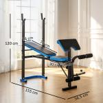 Banco de Musculação Multifuncional com Suporte para Barras e Encosto Ajustável 155x56,5x120 cm Preto e Azul