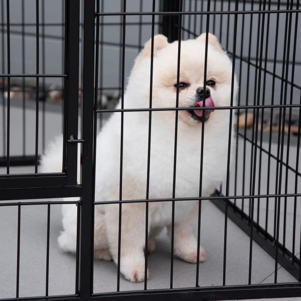Parque para Animais de Estimação Retangular Gaiola para Cães 4 Paineis de Metal com Porta e Dupla Fechadura Cerca de Treinamento 129x84x70cm Preto