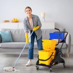 Balde de Esfregona 26 L com Rodas, Sistema de Espremedor, Asa de Transporte e Duplo Compartimento 78x45x95 cm Multicolor