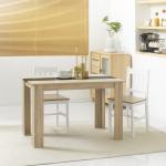 Mesa de Sala de Jantar para 4 - 6 Pessoas Estilo Moderno com Bancada de Melamina de Madeira Carga 50 kg 120x69x75 cm Madeira e Preto
