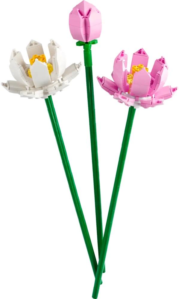 LEGO Iconic: Flor de Lótus - LEGO