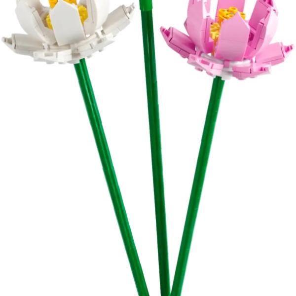 LEGO Iconic: Flor de Lótus - LEGO