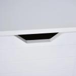 Armário Sob Lavatório com Prateleira Anti - Inclinação 60x30x60 cm Branco