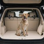Grade de Segurança de Carro para Cães Universal Grade de Segurança para Cães com Largura Ajustável 90 - 120x40,5cm Preto