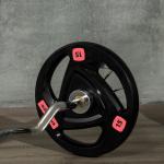 Conjunto de 2 Discos de Pesos Olimpicos 15kg Ferro Fundido Placas de Peso com Orifício de 5 cm Ø40x5 cm Preto