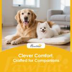 Comedouro Elevado para Cães com 2 Tigelas 2000ml de Aço Inoxidável Gaveta Oculta com Suporte de Madeira 60x30x36cm Branco