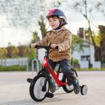 Bicicleta Balance com pedais e rodas removíveis Assento ajustável 33 - 38cm Crianças +2 Anos Carga 25kg Cor vermelha