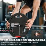 Conjunto de Discos de Pesos de 4 Peças 2x5 kg e 2x2,5 kg com Orifícios de 2,5 cm para Treino Fitness Preto