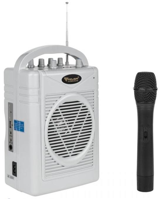 Coluna Amplificada Portátil 50W MP3/USB/SD/AUX/FM c/ Microfone sem Fios ECHO (SH - 130) - AZUSA