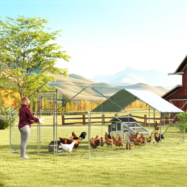 Galinheiro para Exterior 3x6 m Galinheiro de Aço Galvanizado com Comedouro Suspenso Tipo Espeto Poleiro Anti - UV Prata