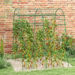 Arco para Plantas Trepadeiras 206 cm Estrutura de Jardim para Plantas Trepadoras ao Ar Livre com Estrutura de Aço Verde