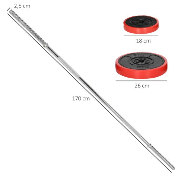 Conjunto de Barra de Pesos 30 kg com Discos Conjunto de Musculação com 6 Discos e 1 Barra para Treino de Força Levantamento de Pesos 170x26x26 cm Vermelho