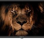 TV LED 24 NVR - 7802 - 24RD2N HD Ready (Preto) - NEVIR