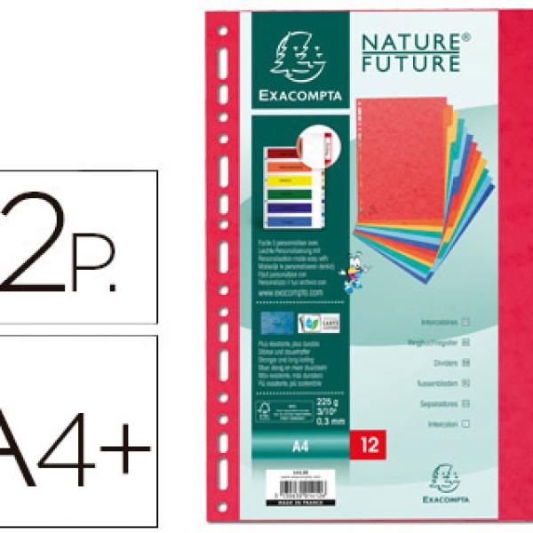 Separador Exacompta Cartolina Conjunto de 12 Separadores de Cores A4+ Multiperfurado
