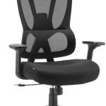 Cadeira de Escritório Ergonómica Elya (Preto) - OFFY