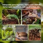 Terrário para Répteis em Vidro com Termómetro e Taça de Água para Lagartos, Cobras e Aranhas 50x30x25 cm Preto
