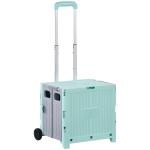 Carrinho de Armazenamento Dobrável Carrinho de Compras com 2 Rodas Capacidade 32L para Casa 41,5x32,5x85 cm Verde