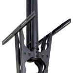 Suporte de Teto p/ 2x TV´s 75 (Preto) - NEWSTAR