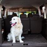 Grade de Segurança de Carro para Cães com Largura Ajustável Grade para Cães de Carro Dobrável 93 - 150x42 cm Preto