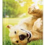 Ração Balance VitaFit p/ Cão Adulto (18Kg) - PURINA FRISKIES