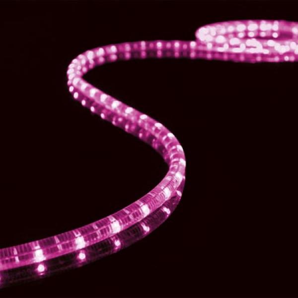 Mangueira Luminosa Rosa (5 mts)