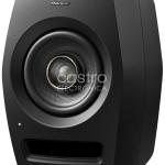 Coluna Monitor Profissional Bi - Amplificada 5 100W RMS (QUALIDADE) - Pioneer