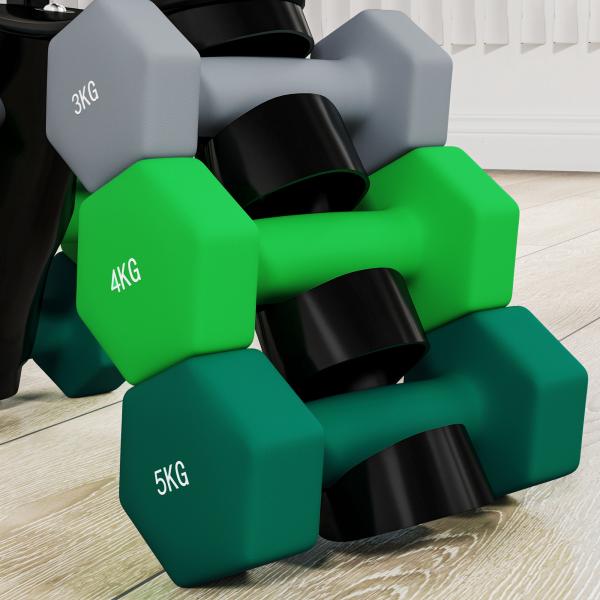 Conjunto de Halteres 2 x 3kg 2 x 4kg e 2 x 5kg Halteres Hexagonais com Suporte de Armazenamento para Treino Multicor