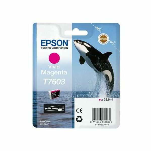 Tinteiro de Tinta Original Epson C13T76034N10 Magenta