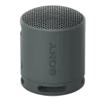 Coluna Portátil SRS - XB100 IP67 (Preto) - SONY