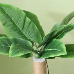 Árvore Arranhadora para Gatos 83 cm com Folhas Artificiais, Poste em Juta, Plataformas em Pelúcia e 2 Brinquedos, Verde