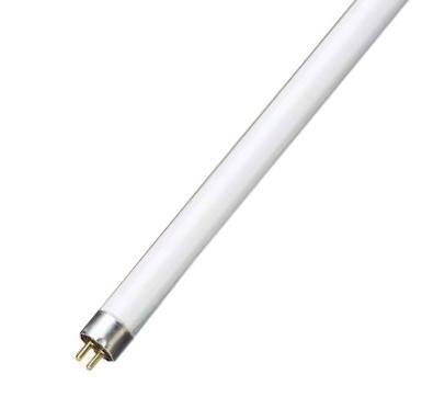 Lampada Fluorescente Trifósforo T5 6W 4000K (22cm) - GSC