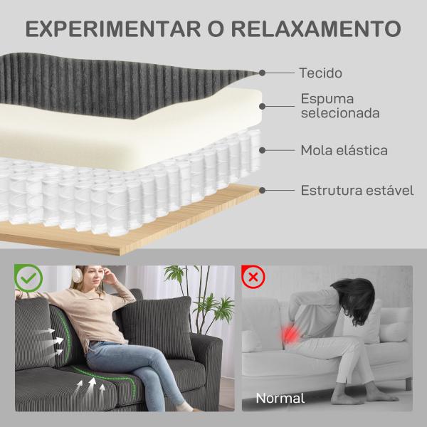 Sofá de 3 Lugares Sofá Sala de Estar 212x80x88 cm Estofado em Veludo Canelado com 2 Almofadas Desenho Moderno Cinzento