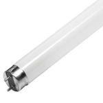 Lampada Fluorescente Ultravioleta BL T8 10W (30cm) p/ Mata - Moscas