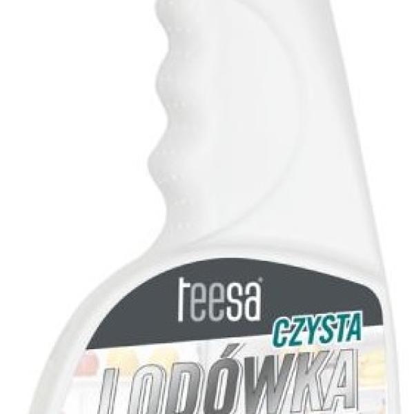 Spray de Limpeza p/ Frigorificos e Congeladores (500ml) - TEESA