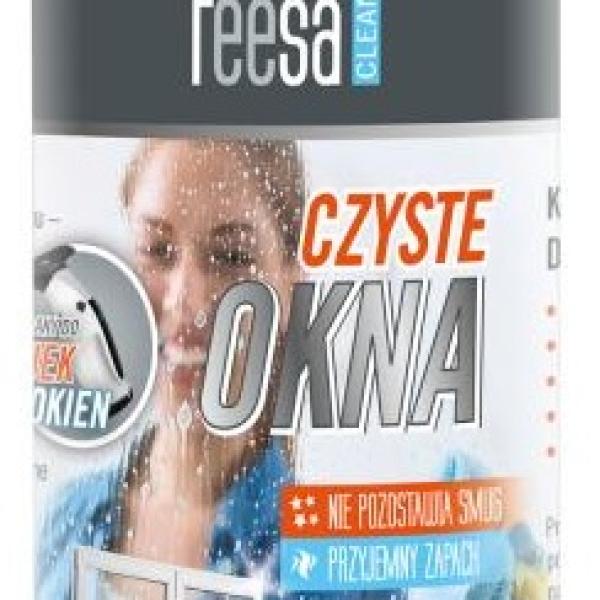 Liquido Limpeza p/ Vidros (100ml) - TEESA