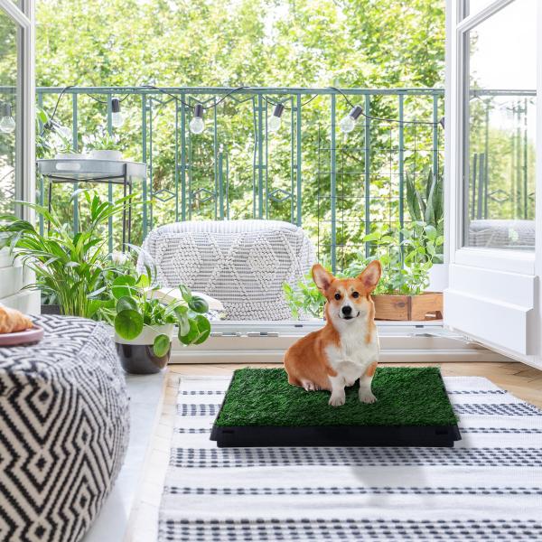 Resguardo de Treino de Erva com Bandeja para cães Sanita Interior para Animais de Estimação com Bandeja Lavável 51x63x6 cm Verde