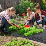 Rolo de Malha Anti - Ervas 1x100 m Malha Geotêxtil 60 g/m² para Controlo de Ervas Daninhas de Jardim Malha Anti - Ervas Preta