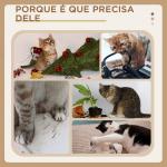 Arranhador para Gatos Médio de 3 Níveis com Postes de Sisal Placa para Arranhar e Bola Suspensa 40x35x72 cm Creme